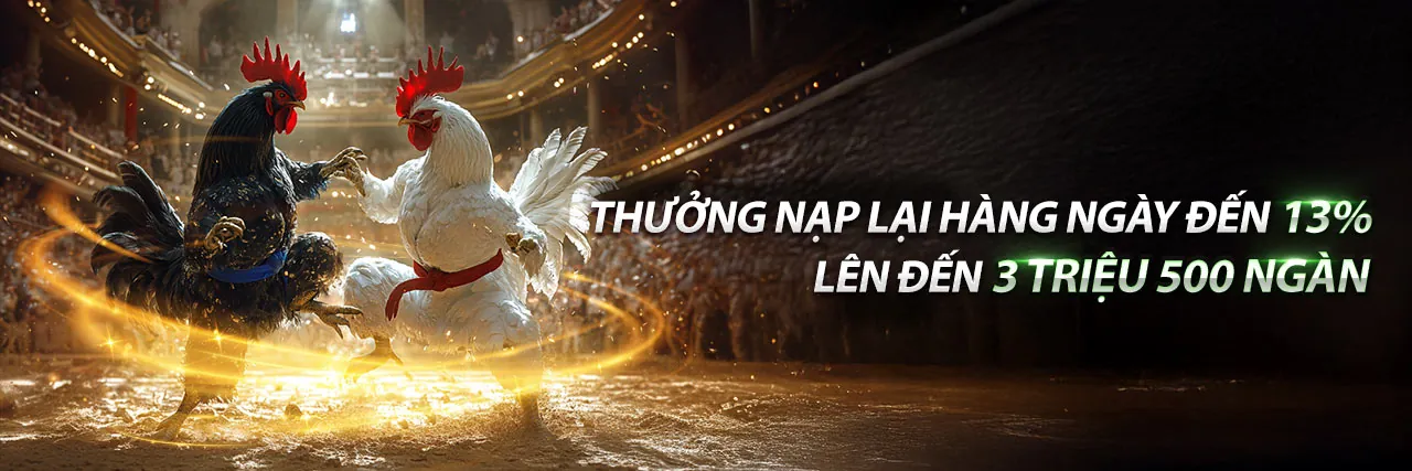 Hình ảnh chính chương trình VIP 5nk88